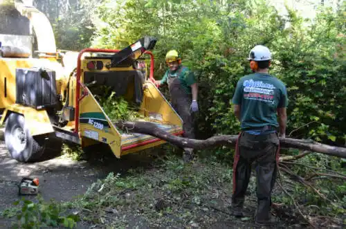 tree services Ottumwa